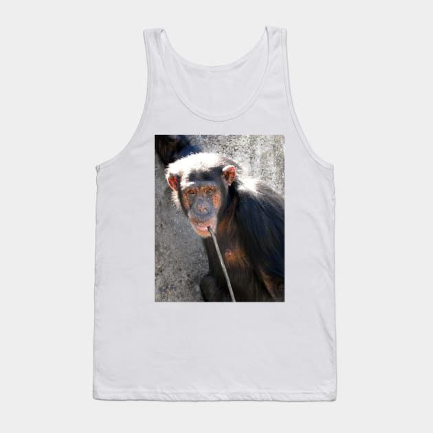 Chimpanzee Tank Top by kirstybush